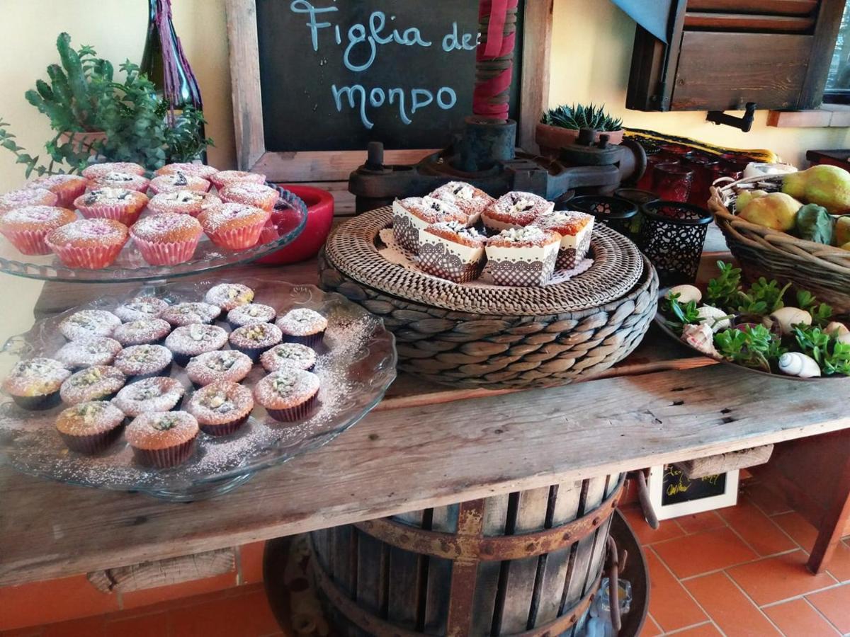 Podere Montecorno
