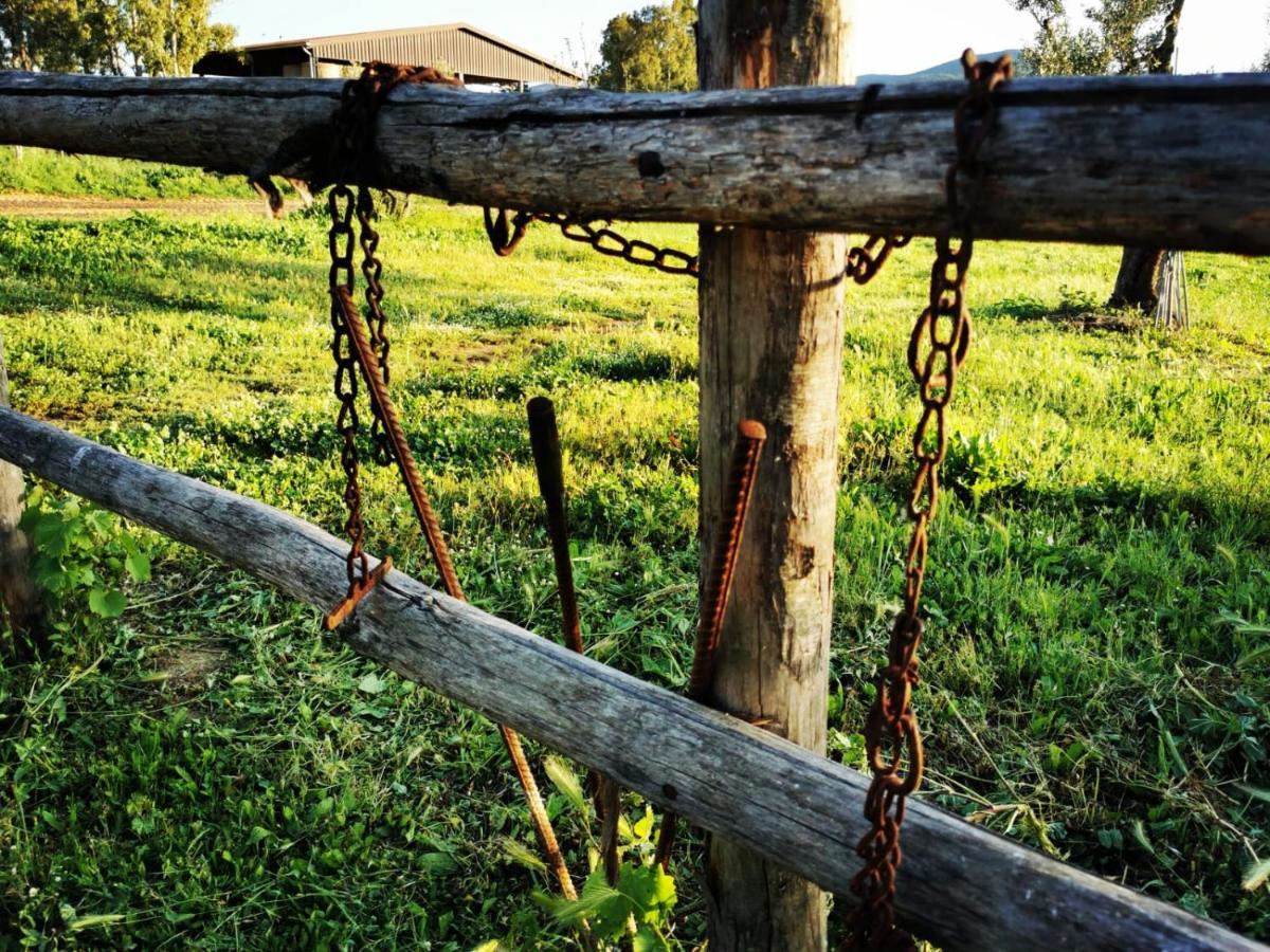 Podere Montecorno